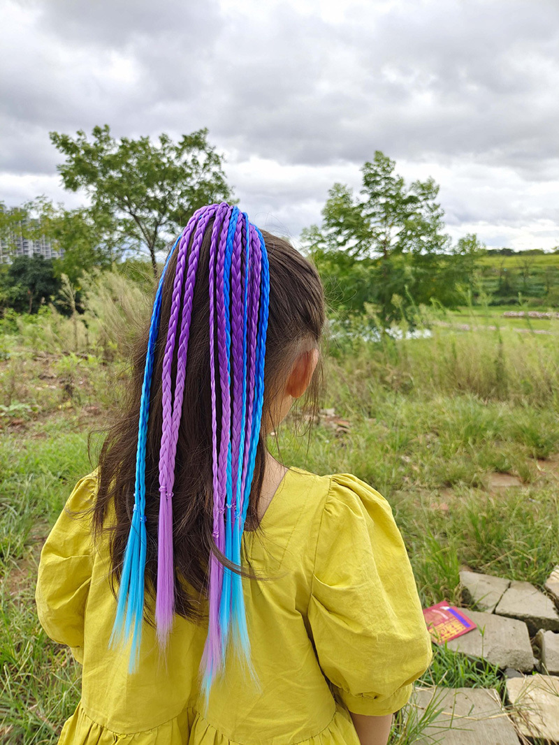 1 PCS New Girls Colorful Wigs  - Kids Outdoor Decor 评论和价格